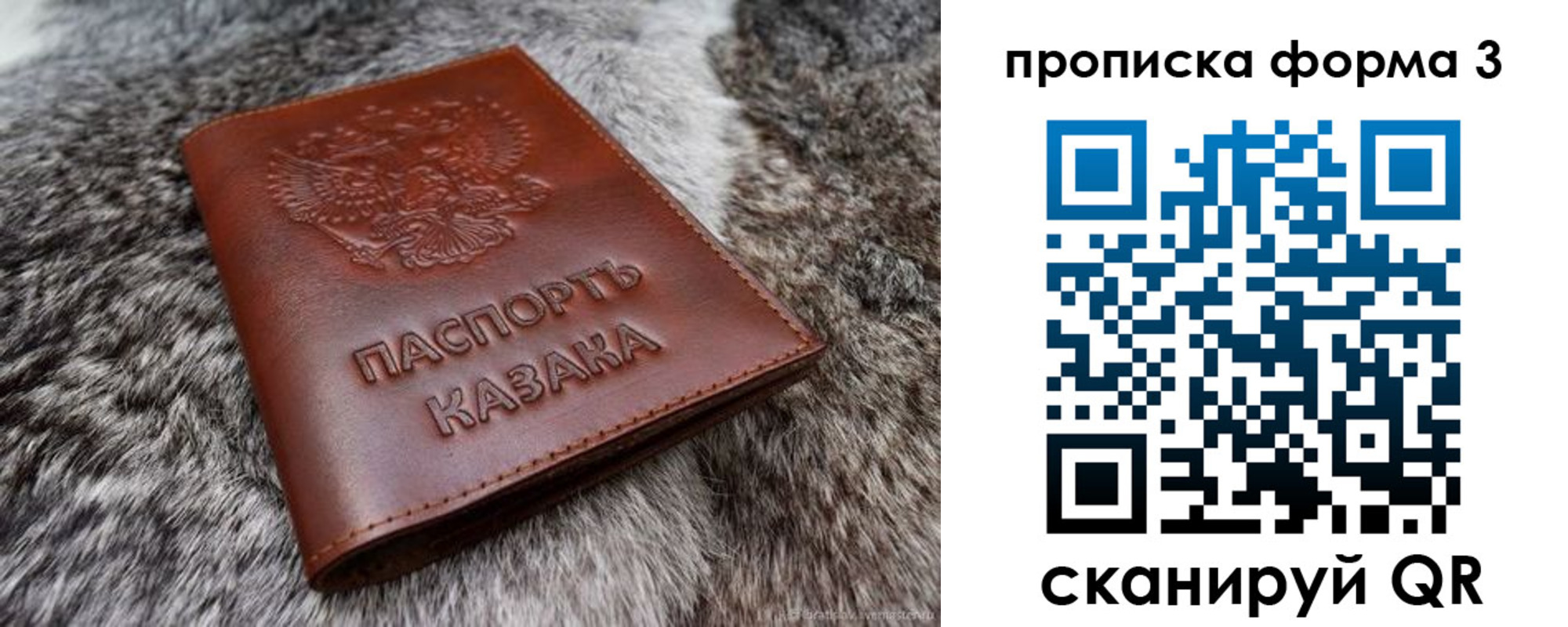 временная прописка в Пионерском